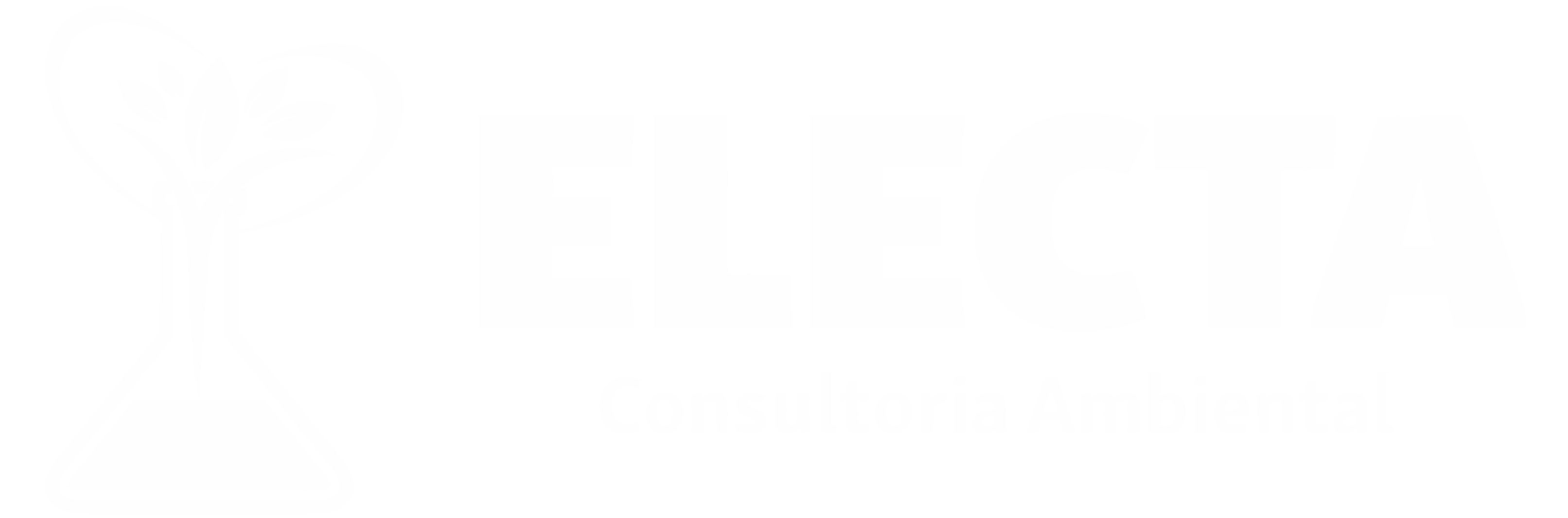 Electa Consultoria Ambiental